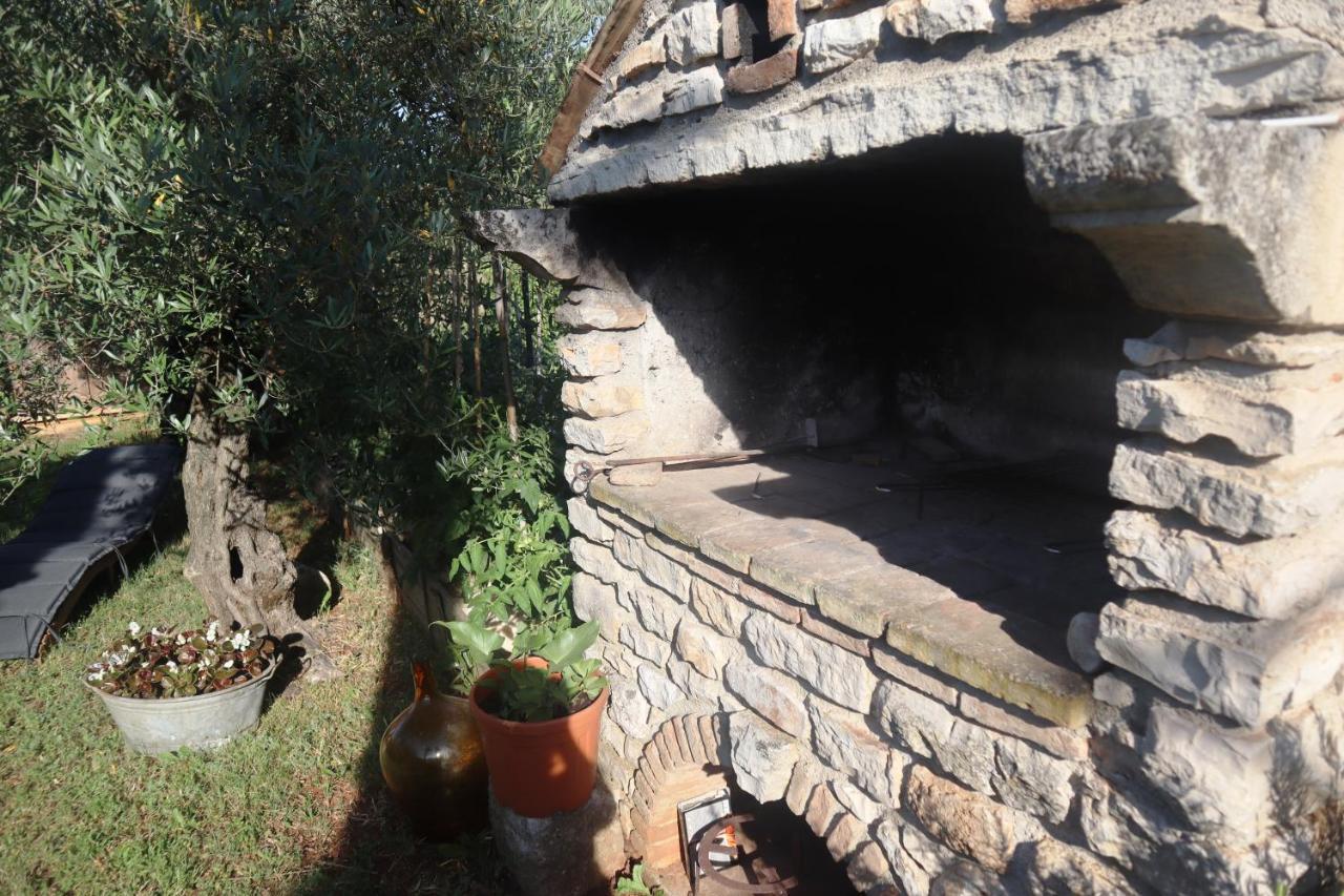 Apartmani Jelena Poreč Zewnętrze zdjęcie